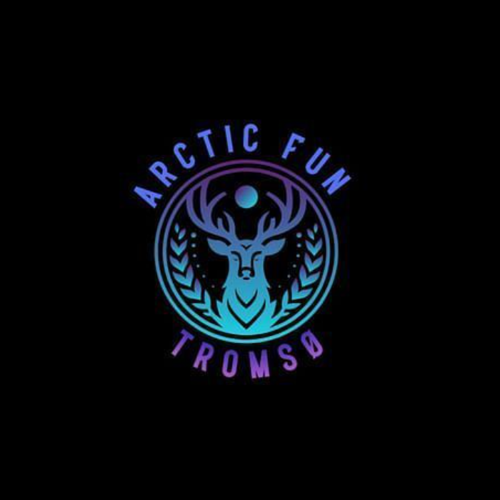 Arctic Fun logo
